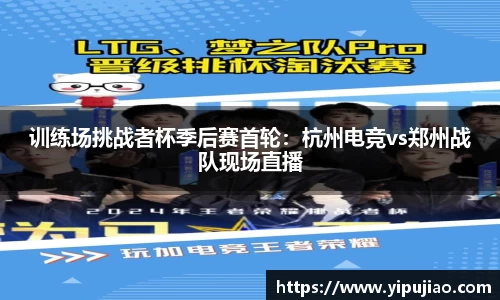 6163银河net163